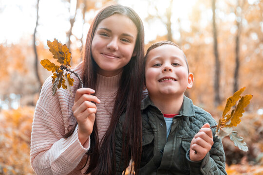 Brother and sister holding dry leaves while standing in Cannock Chase park during autumn - Powered by Adobe