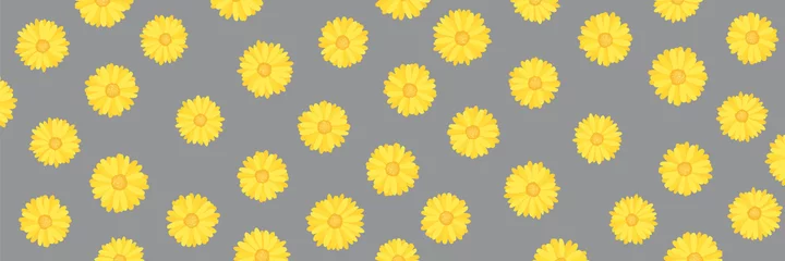 Ringelblumen- oder Ringelblumenmuster in leuchtend gelber Pantone-Farbe des Jahres 2021 auf ultimativem grauem Hintergrund, Stock-Vektor-Illustrationsclipart, Panoramahintergrund für Kopfzeile, Banner, Link © anastasiia agafonova