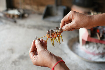 Woman's hand Stabbed a frog with a stick To cook