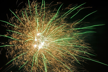 Colorful fireworks in the night sky