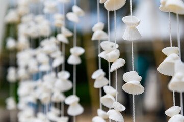 Seashells mobile hanging. handicrafts produced by sea shell