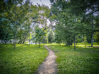 Fototapeta na wymiar Summer green landscape in a city park on a sunny day. Paths in the middle of a green lawn and trees.