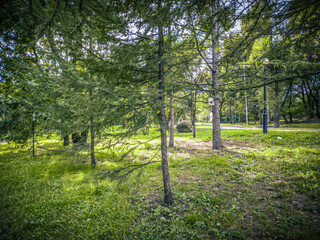 Summer green landscape in a city park on a sunny day. Paths in the middle of a green lawn and trees.