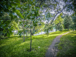 Summer green landscape in a city park on a sunny day. Paths in the middle of a green lawn and trees.