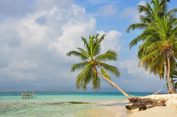 Caribbean landscape sea palm tree and white sand