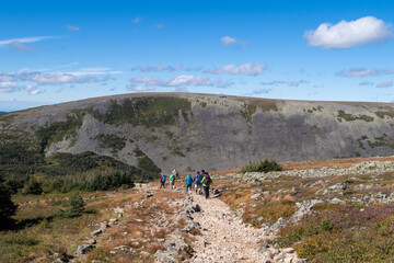 Group of hikers at the mount Jacques Cartier, in the Gaspésie national park, Canada