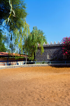 Horse-stable