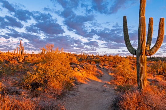 Hiking Trail In Desert Preseve In Phoenix Area