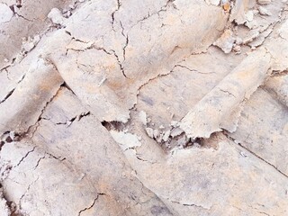 old wood texture