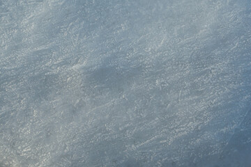 Naklejka premium Sea ice texture. Frozen sea water with congealed small bubbles inside. The sea ice is pale blue. Embossed sea ice illuminated by the setting sun