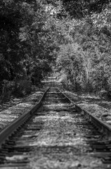 Fototapeta premium railroad track