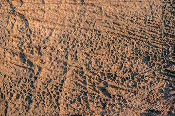 Sandstone texture. Sandstone with cells. Yellow sandstone background. Sand texture. Sandstone with cells washed by the sea. Cells in the sandstone. Shadows in cells in sandstone