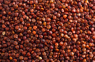 Background of Red Quinoa Closeup