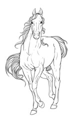 Coloring page with horse
