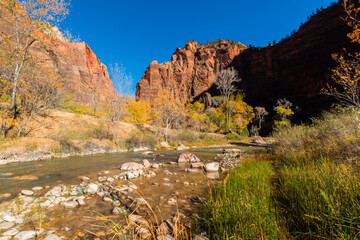 The Virgin River Flowing Past The Pulpit In The Temple of Sinawava, Zion National Park, Utah, USA