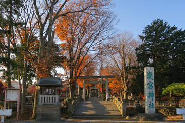 Obraz premium Takinomiya Shrine in Fukaya city, Saitama, Japan. December 13, 2020