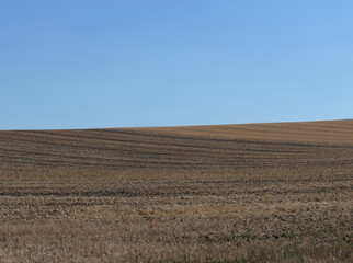 Fototapeta na wymiar Stubble Field, Harvested Grain Fields, Rhinehesse