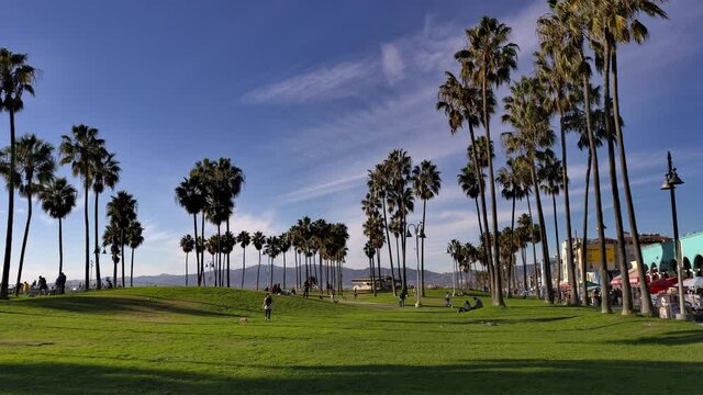 A crowd of people walking around the Venice Beach Boardwalk in a small grassy park surrounded by palm trees on a sunny day in Los Angeles, Califonia, USA - Handheld static shot