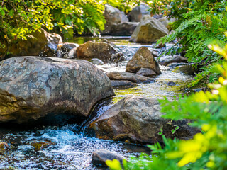 Mountain stream 