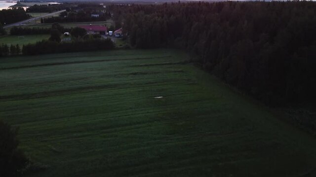 Scattered farmhouses on green flood plains of Tornio riverside, Lapland region 