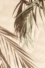 Abstract natural palm leaves shadows  background on beige color wall texture . poster. floral card