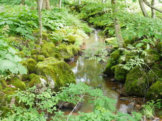 新潟県東蒲原郡阿賀町の小川