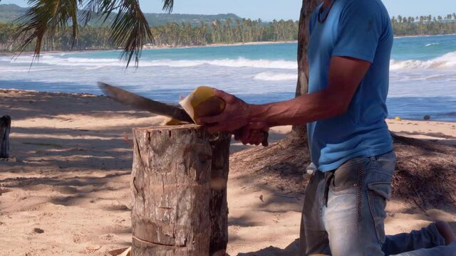 Man opens fresh coconut cutting it with machete on beach. Dominican Republic