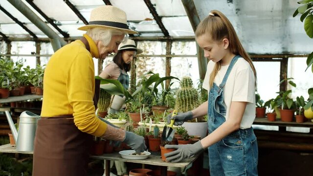 Family females mother granny and girl are planting flowers in hothouse gardening talking enjoying work together. People and argiculture concept.
