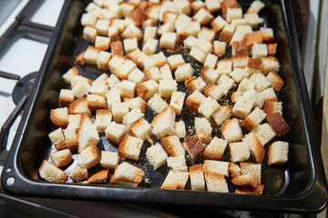 Square toasted pieces of homemade delicious rusk, hardtack, Dryasdust, zwieback on a baking sheet.