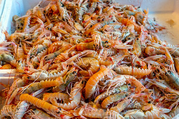 Fresh shrimps for sale at a market