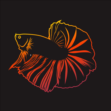 recommend clip art: Betta fish vector outline design in elegant color on black background.