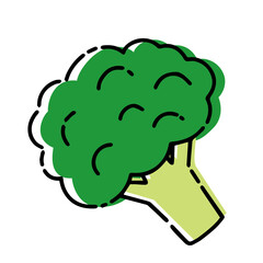 ブロッコリーのイラスト素材