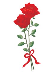 リボンで結んだ赤い2輪の薔薇のイラスト