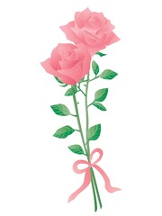リボンで結んだピンクの2輪の薔薇のイラスト