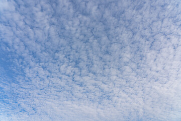 Fototapeta na wymiar Beautiful mackerel sky or buttermilk sky of white clouds