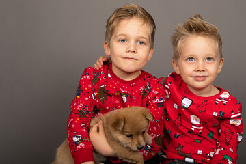 Little brothers with cute puppy