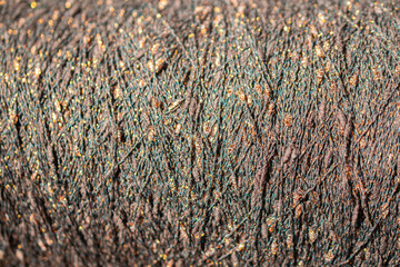 Background of a close up of golden or bronze thread for sewing fabric: seamless pattern of twisted thread in a trendy color, soft focus, selective focus, space for text