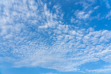 Naklejka na ściany i meble Mackerel sky or buttermilk sky of altocumulus clouds