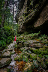 Grand Canyon Walk, Blackheath, NSW, Australia