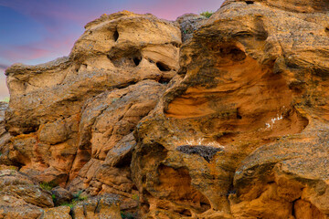 Sandstone sheer cliff face with eagles nest