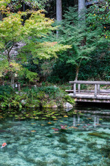 岐阜県関市の名もなき池
