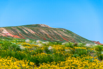 Unusual landscape. Mountain Big Bogdo in the Astrakhan region, Russia. Sacred place for practicing...