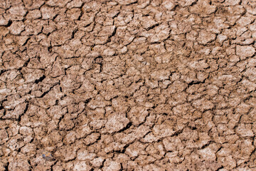 Landscape with dry cracked takir soil in semi-desert