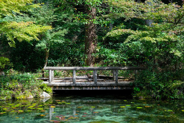 Fototapeta na wymiar 岐阜県関市の名もなき池