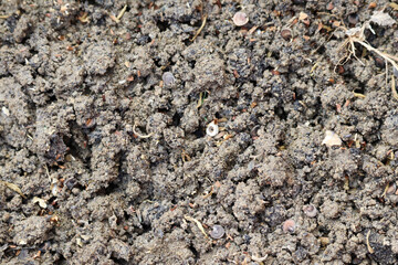  Close up texture of stone and mud