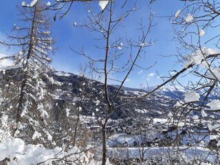 winter alps scenery with white snow on mountain pine trees