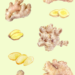 Ginger root set watercolor illustration isolated on white background