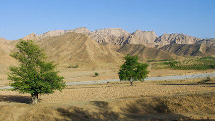 Panorama of countryside mountain landscape with trees in Mazar-i-Sharif near Panjakent in Sughd region of Tajikistan