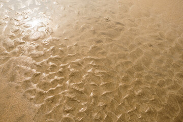 Warm yellow sand surface texture. Abstract nature background.