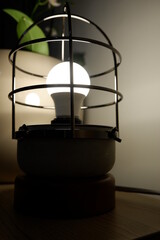 Fototapeta na wymiar Light Bulb